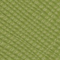 Brixham Saffiano Leather Watch Strap - Avocado Green