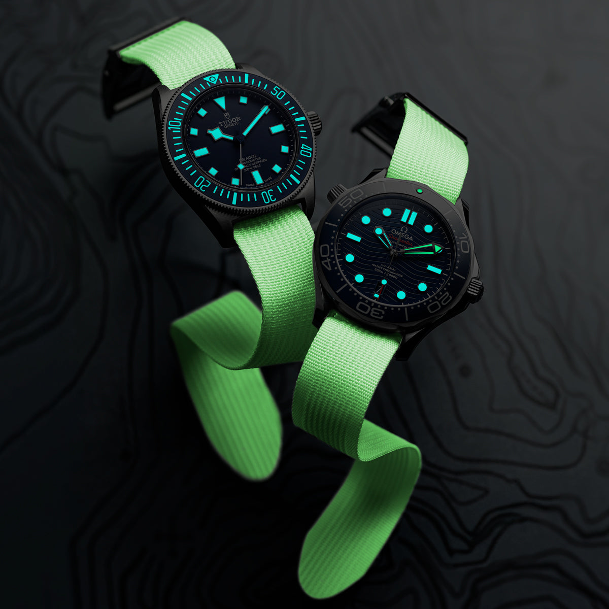 OCTOPOD Ridge Nylon Watch Strap - Pegasus